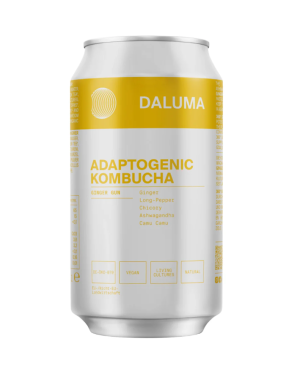 BIO kombucha o smaku imbiru- BIO Kombucha Ginger Gun – Daluma, 330 ml